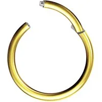 Taffstyle Nasenpiercing Clicker Ohr Universal Piercing Titan G23 oder Chirurgenstahl (Vielseitiger Segmentring aus Titan oder Chirurgenstahl in vielen Farben und Größen), Scharnier Klicker für Septum Ohr Nase Lippe