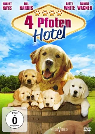 4 Pfoten Hotel [DVD] [2011]