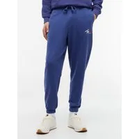 Tommy Jeans Jogginghose TJM REGULAR SIGNATURE mit Logo und Bündchen