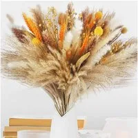 Trockenblume Pampasgras Trockenblumen Deko, 100 Stück Pampasgras Getrocknet, Toomoke, Höhe 45 cm, Flauschige Getrocknete Blumen für Hochzeit Boho Deko Wohnzimmer