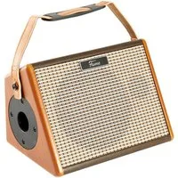 FAME Verstärker (Akustikgitarrenverstärker, integrierter Akku, Bluetooth)