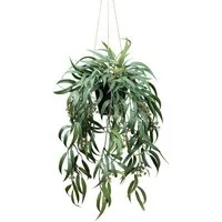 Kunstpflanze Eukalyptus Globolus Eukalyptus, Creativ green, Höhe 65 cm, mit Fruchtblüten