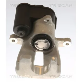 Triscan Bremssattel hinten links VW Passat B6 817529223