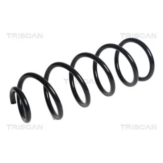 Triscan Feder hinten Mazda 3 2,2