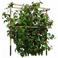 MC Star Rankhilfe Flexibles Metall-Gartenspalier für Beeren: Himbeeren Brombeeren & Blaubeeren – Erweiterbares Spalier