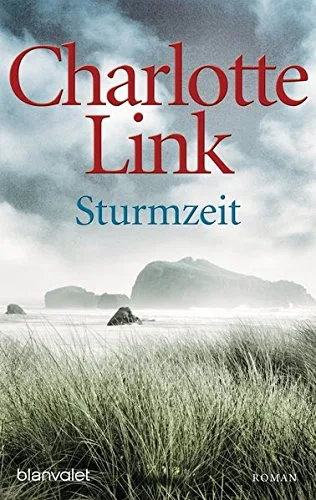Sturmzeit: Roman (Die Sturmzeittrilogie Band 1)