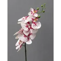 Kunstorchidee Kunstblume Phalaenopsis 86cm. Orchidee, Orchideentrieb., Gasper, Höhe 86.00 cm