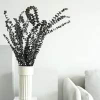 Trockenblume Eukalyptus Baby konserviert 60–75 cm – Bund, Trockenblumen Deko Pavi / Eukalyptus, Eukalyptus, LYKKE & You, konserviert, kein Wasser benötigt, ganzjährige Dekoration
