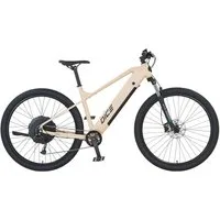 Prophete E-Bike Mountainbike Dice 2.0, 9 Gang Shimano Alivio Schaltwerk, Kettenschaltung, Heckmotor, 480 Wh, Pedelec, Elektrofahrrad für Damen und Herren, MTB