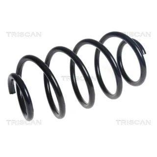 Triscan Feder vorne Ford Mondeo 5 2,0 875016191