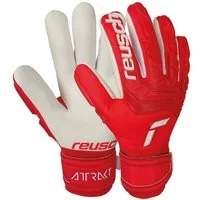 Reusch Torwarthandschuhe Attrakt Freegel Silver mit Evolution Negative Cut