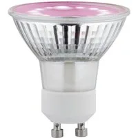 Paulmann Pflanzenlampe Paulmann LED-Pflanzenlampe Wachstum 230 V GU10 3.5 W Bernstein 1