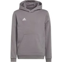 adidas Performance Kapuzenpullover adidas Kinder Kapuzenpullover Entrada 22 Sweat Hoodie
