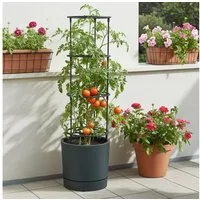 VidaAtHome.de Anzuchttopf Tomaten Anzuchttopf HOME GROWER 30er