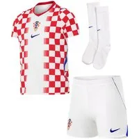 Nike Fußballtrikot Nike Performance Teamsport