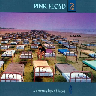 A Momentary Lapse of Reason [Audio CD] Pink Floyd