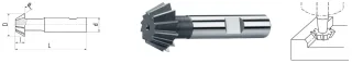 ELMAG HSS Co5 Winkel-Stirnfräser DIN 1835B - 73709