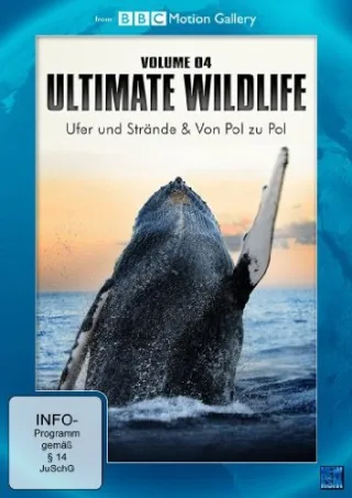 BBC Motion Gallery: Ultimate Wildlife Vol. 4: Ufer und Strände & Von Pol zu Pol