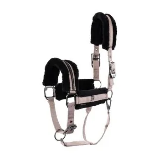 Variante