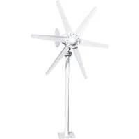 Rutaqian Windgenerator Windgenerator 800W, Windkraftanlage 12V 24V Windturbine mit 6 Blättern, 800 W, Stromerzeuge Kleinwindkraftanlage für Zuhause Garten Wohnmobil