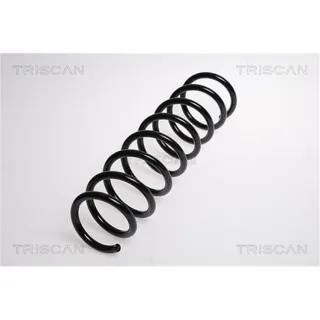 Triscan Feder hinten BMW 7er E65