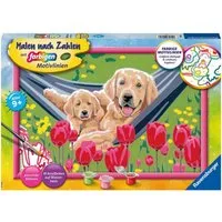 Ravensburger Malen nach Zahlen Kuschelpause, Made in Europe