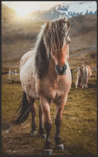 Fussmatte Pferd 7642 | Größe: 60 cm x 90 cm