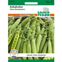 SAMEN PFANN Gemüsesamen Schalerbse, Kleine Rheinländerin - Saatgut Samen, Pisum sativum