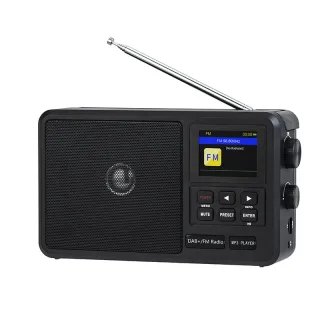 HRD CS-806 FM Radio Handheld Portable Radio Multi Function FM Radio WiFi DAB+ Wireless Radio Support Alarm Clock and Sle