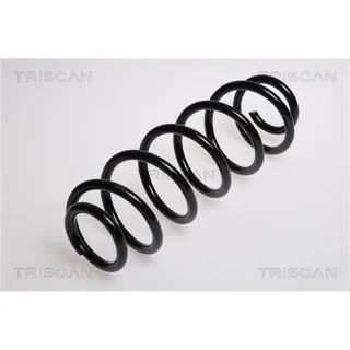 Triscan Feder hinten Seat Leon 875029112