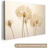 OneMillionCanvasses® Leinwandbild Sonnenlicht - Löwenzahn - Botanisch - Blumen, Fotodruck (1 St), Leinwand Bilder Klein, Wand Dekoration Aesthetic 30x20 cm