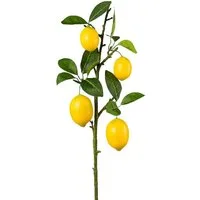 Kunstpflanze Früchtezweig Zitrone, Gasper, Höhe 68 cm, Farbe: Gelb