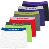 TEXEMP Panty 6 Damen Hotpants Panty Panties Slip Unterwäsche Boxershorts Microfaser (Spar-Packung, 6-St., 6er Pack) Ohne nerviges Plegeetikett