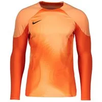 Nike Fußballtrikot Gardien IV Torwarttrikot langarm Teamsport