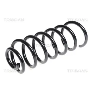 Triscan Feder hinten Citroen Berlingo Peugeot Partner 1,6 875028171
