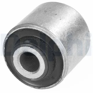 Delphi Querlenkerlager Renault Clio 1 TD246W