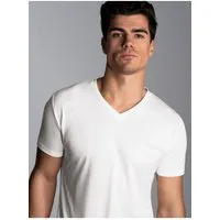 Trigema T-Shirt TRIGEMA V-Shirt aus 100% Lyocell (1-tlg)