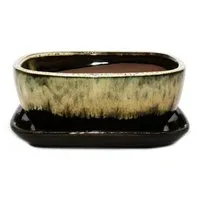 Exotenherz Pflanzschale Bonsai-Schale Unterteller Gr. 3 Braun-Beige rechteckig GB5 L 21,5cm (1 St)