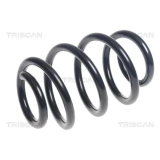 Triscan Feder hinten Mercedes A-Klasse Cla