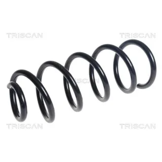 Triscan Feder hinten Mazda 6 GJ