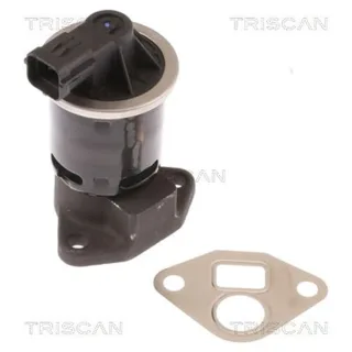 Triscan AGR-Ventil Chevrolet Daewoo 881321004
