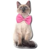 Carbotex Dekokissen Katze Dekokissen 45 cm
