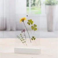 Hama Fotohalter Fotohalter Acryl, 10 x 15 cm, zum Aufstellen, für 1 Bilder