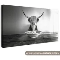 OneMillionCanvasses® Leinwandbild Panorama Schottischer Highlander - Spaghetti - Tiere - Schwarz und wei, Fotodruck (1 St), Leinwand Bilder für Wohnzimmer Schlafzimmer 60x30 cm