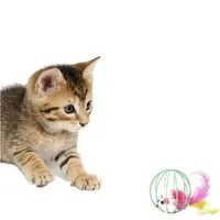 HomeBella Tier-Beschäftigungsspielzeug Katzenspielzeug Maus mit Feder und Glocken Kauspielzeug - K-04, für Katzen Kitten Haustier zum Spielen Beißen Kauen