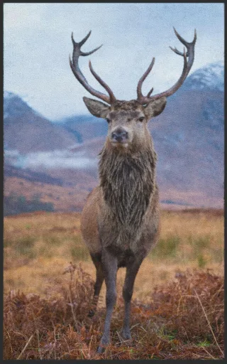 Fussmatte Hirsch 7096 | Größe: 60 cm x 90 cm
