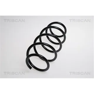 Triscan Feder vorne VW Fox Polo 1,4