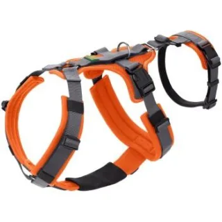 Hunter Sicherheitsgeschirr Maldon orange S-M