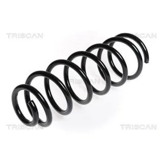 Triscan Feder hinten Citroen Berlingo C4 Peugeot 5008 Partner 875028130