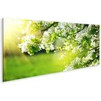 islandburner Leinwandbild Bild auf Leinwand Frühling Blüten Naturszene Mit Blühendem Baum Und So